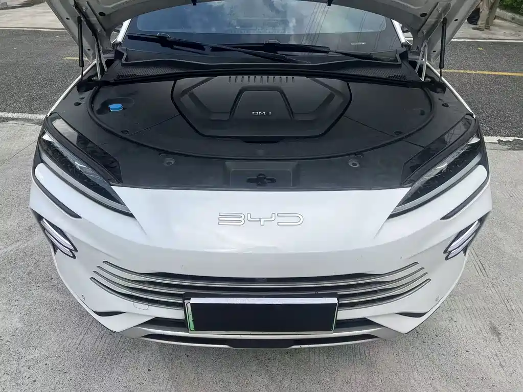 BYD PLUS New Energy 2023 — фото 11