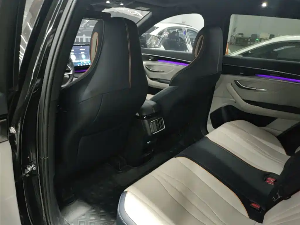 BYD PLUS New Energy 2022 — фото 15