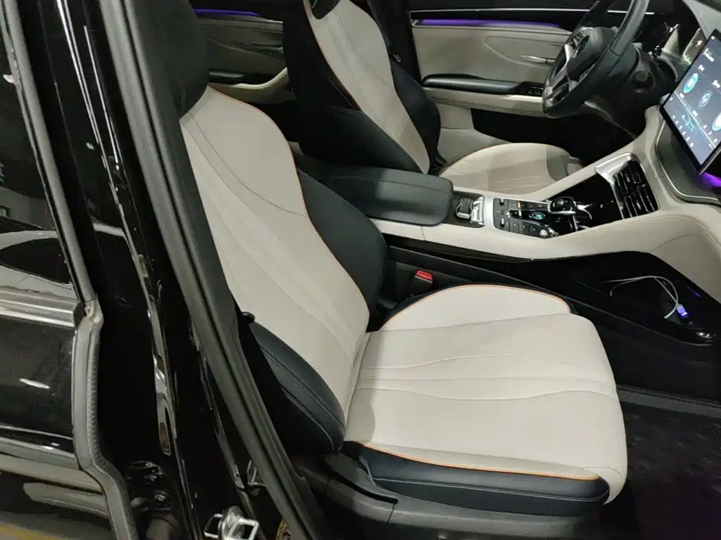 BYD PLUS New Energy 2022 — фото 24