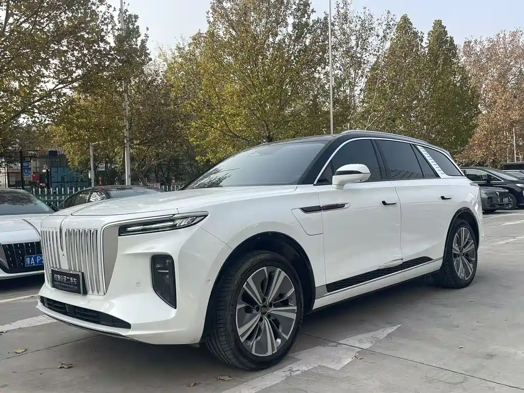Hongqi E-HS9 2023 — фото 2