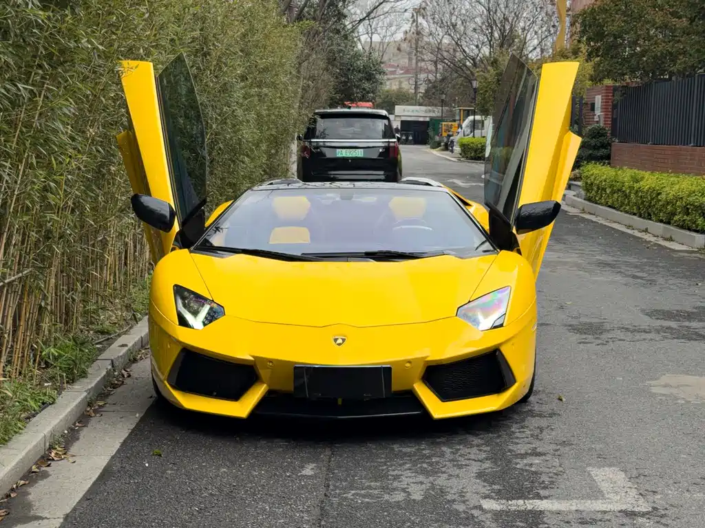 Lamborghini Aventador 2016 — фото 2
