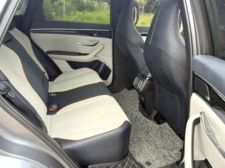 BYD Song PLUS New Energy 2022 — фото 11