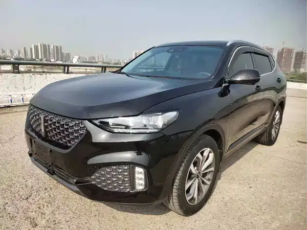 Wey VV6 2020
