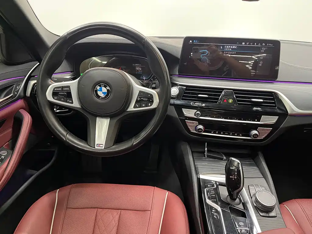 BMW 5 Series New Energy 2021