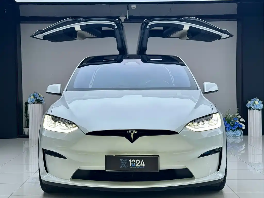 Tesla Model X 2023 — фото 2