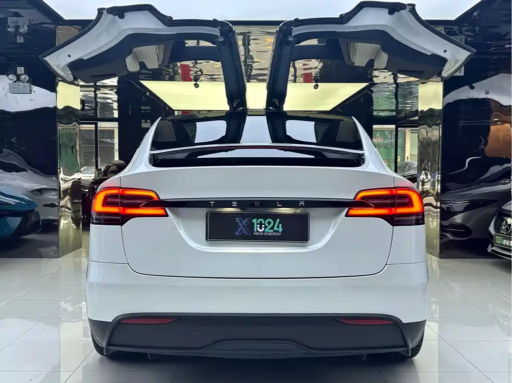 Tesla Model X 2023 — фото 13
