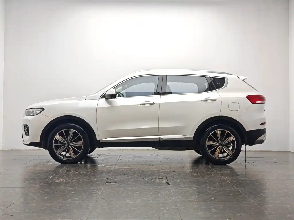 Haval H6 2020 — фото 10