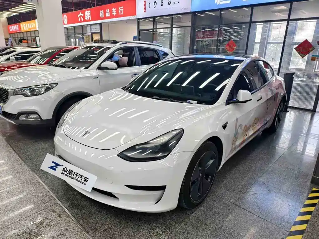 Tesla Model 3 2021