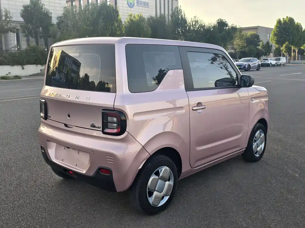 Galaxy Panda 2023