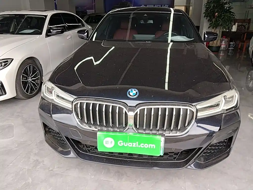 BMW 5 Series New Energy 2022
