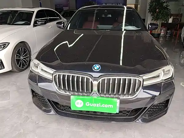 BMW 5 Series New Energy 2022