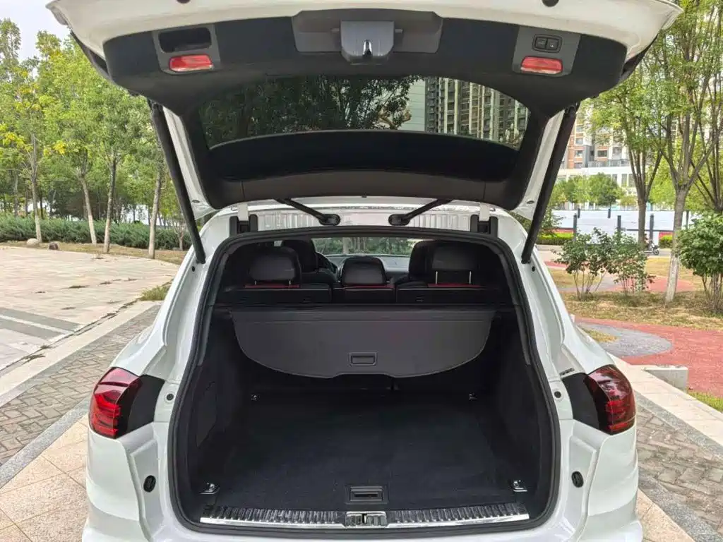 Porsche Cayenne New Energy 2018 — фото 14