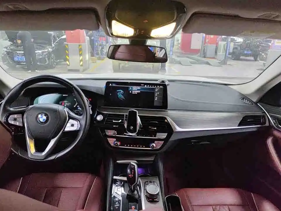 BMW 5 Series New Energy 2021