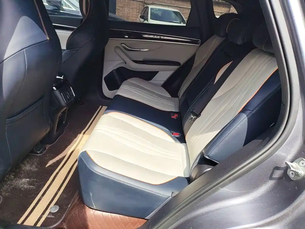 BYD Song PLUS New Energy 2022 — фото 17