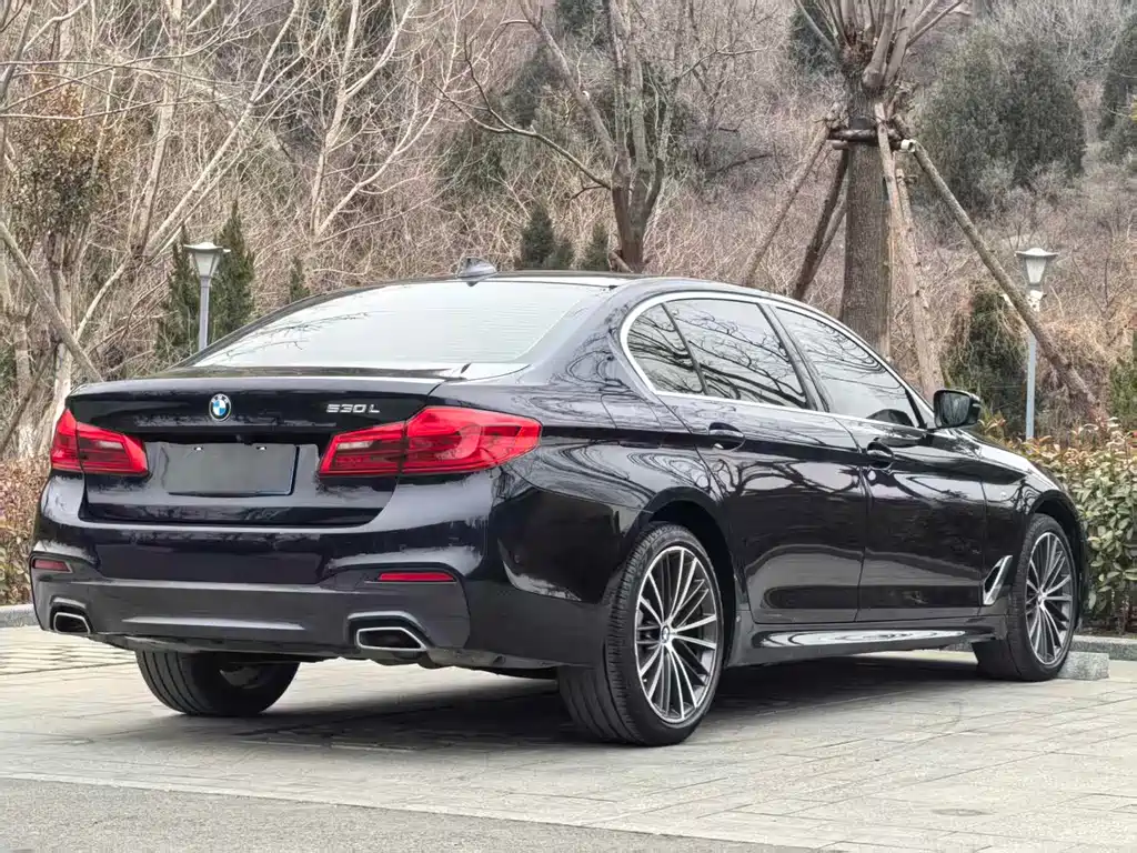 BMW 5 Series 2019