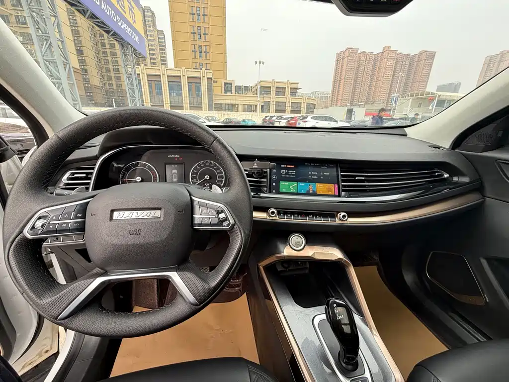 Haval H6 2021 — фото 10