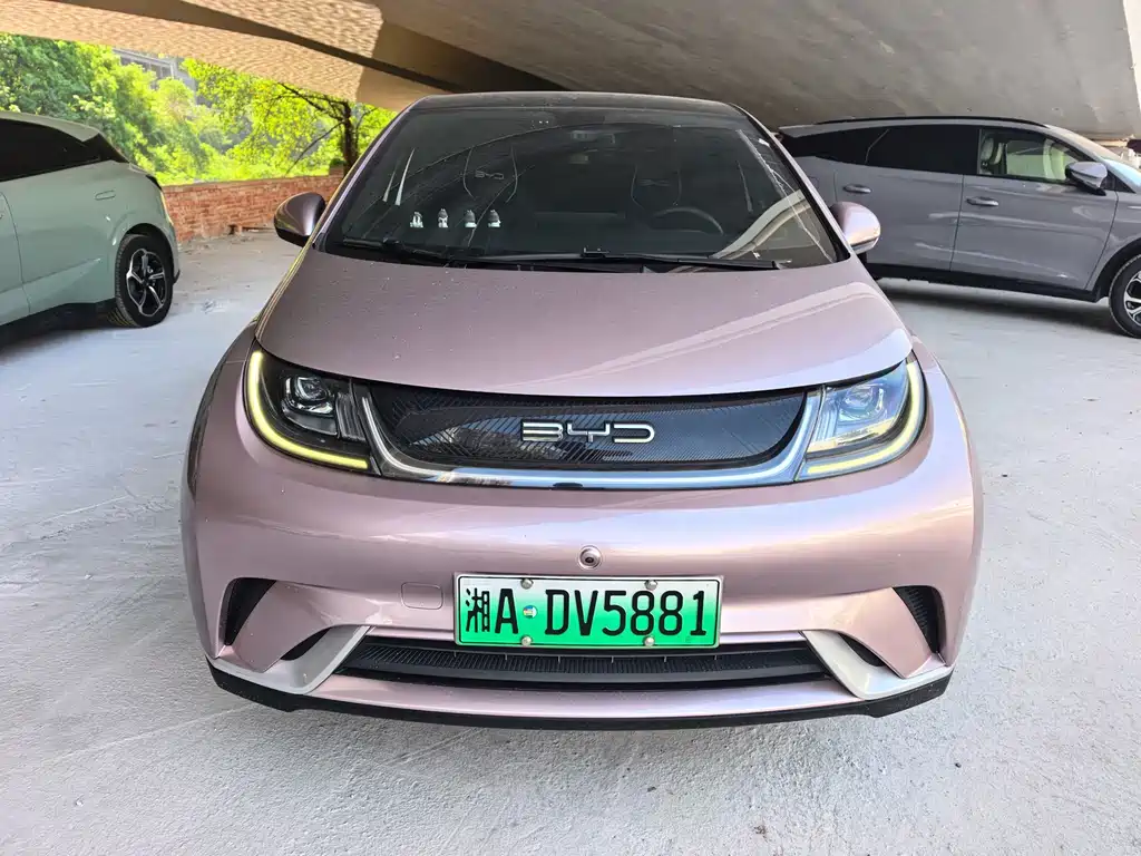 BYD Dolphin 2022