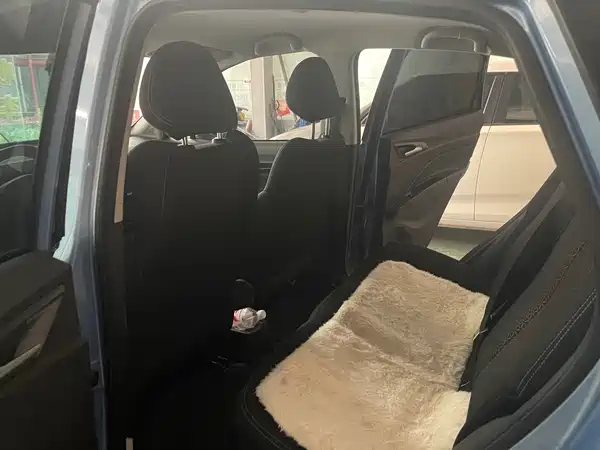 Neta V 2021