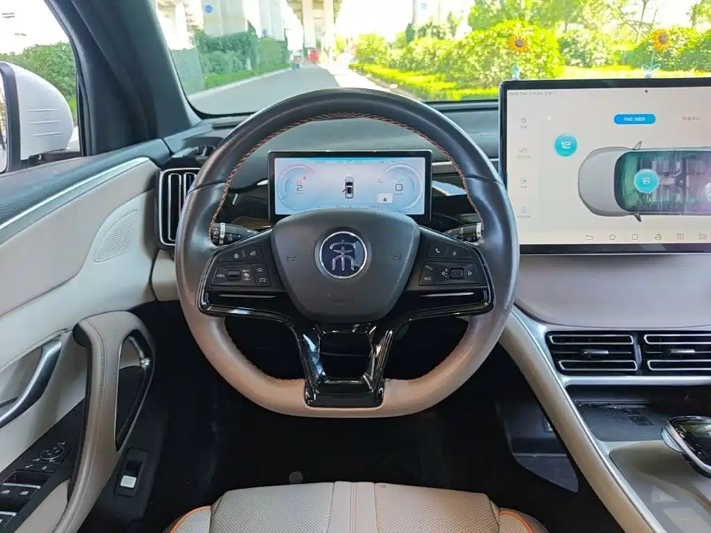 BYD Song Pro New Energy 2024 — фото 11