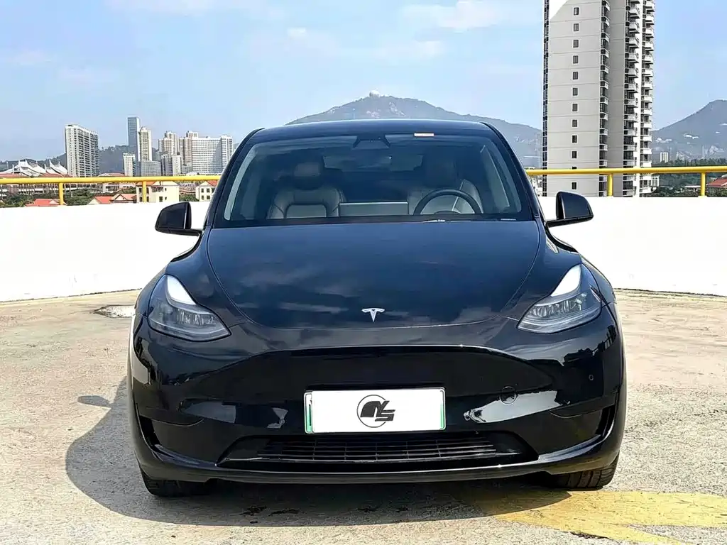 Tesla Model Y 2023 — фото 2