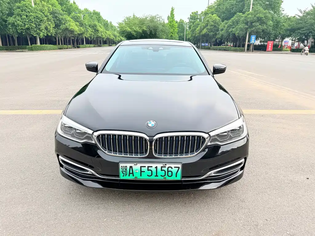 BMW 5 Series New Energy 2019