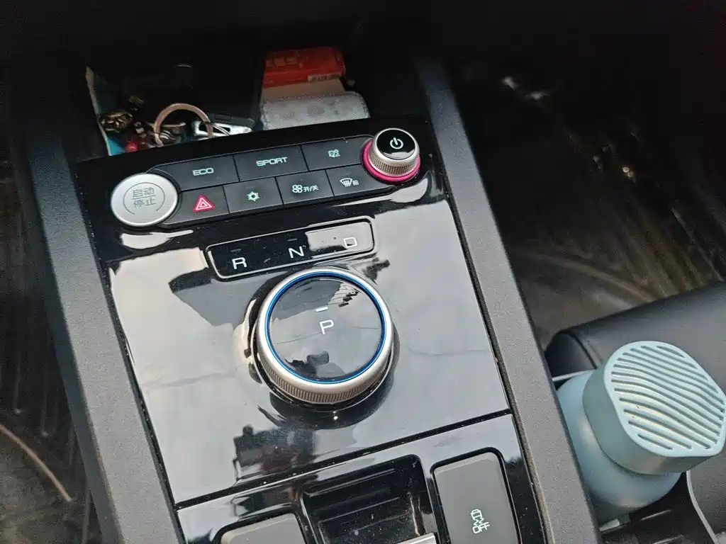 BYD e2 2020