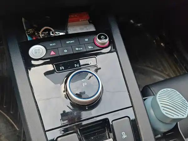 BYD e2 2020