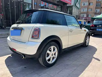 MINI MINI 2010