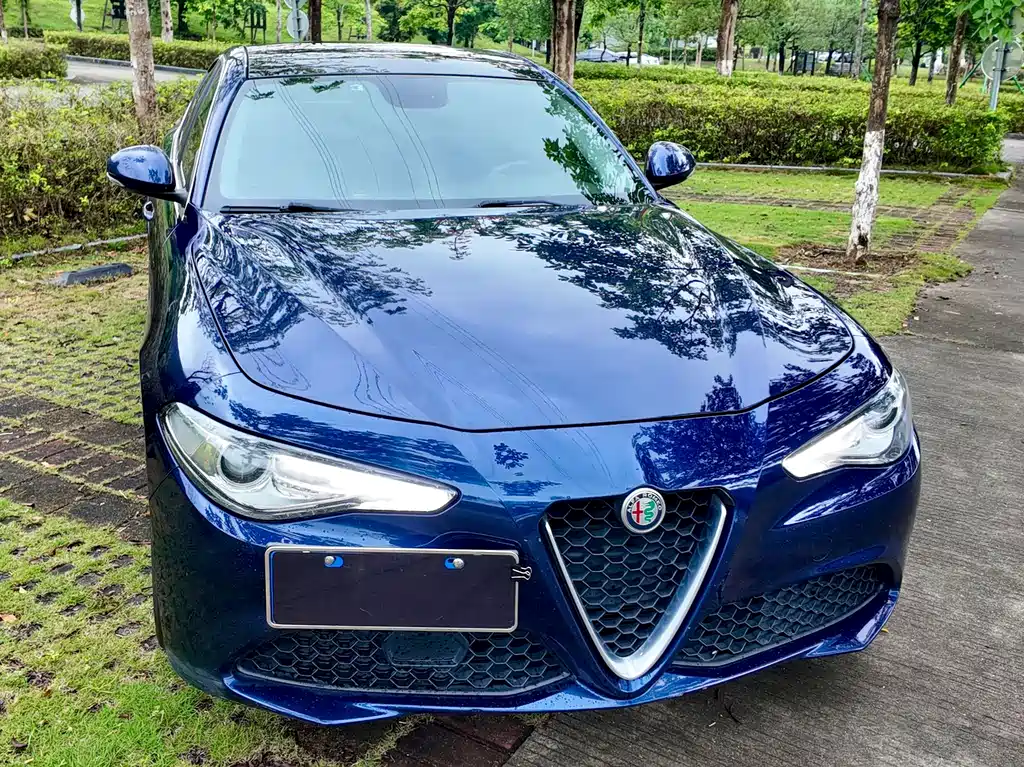 Alfa Romeo Giulia 2019 — фото 15