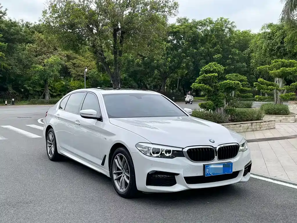 BMW 5 Series 2019