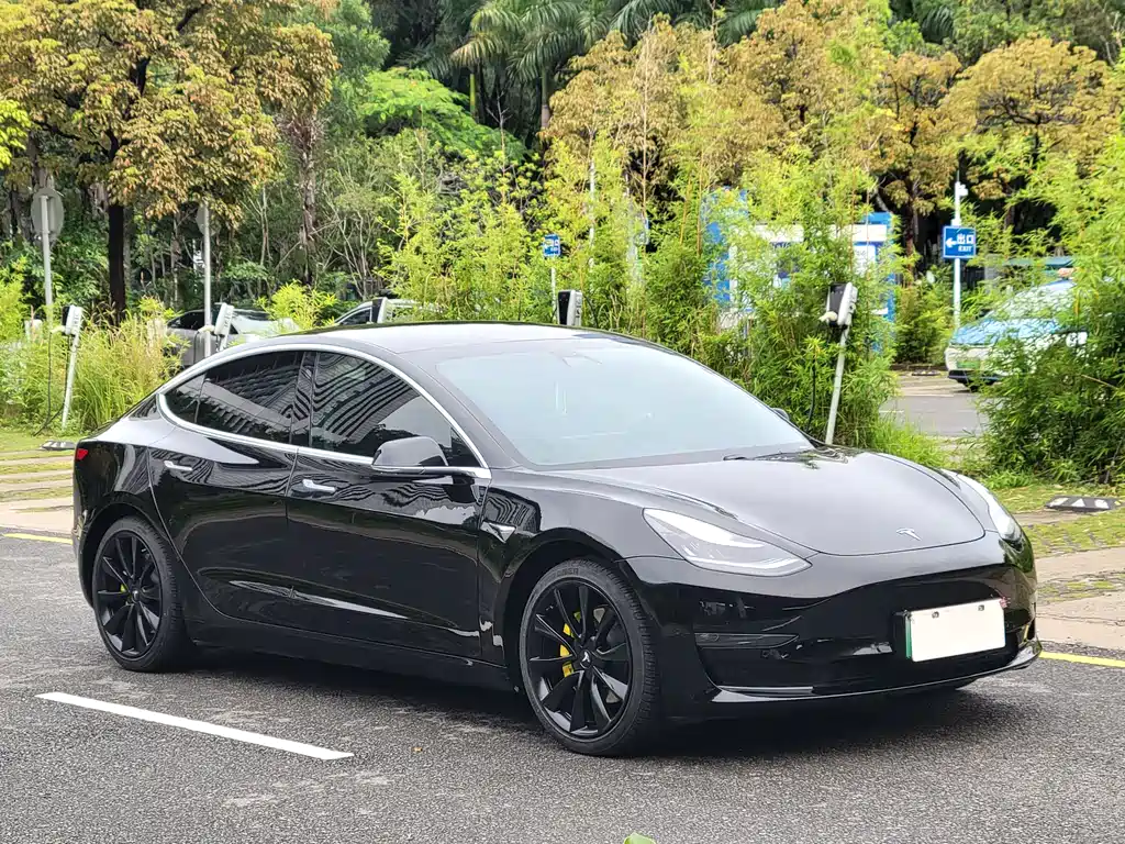 Tesla Model 3 2020 — фото 3