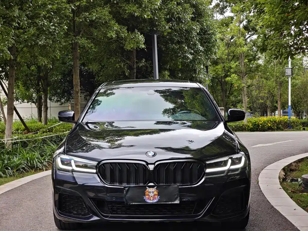 BMW 5 Series 2021