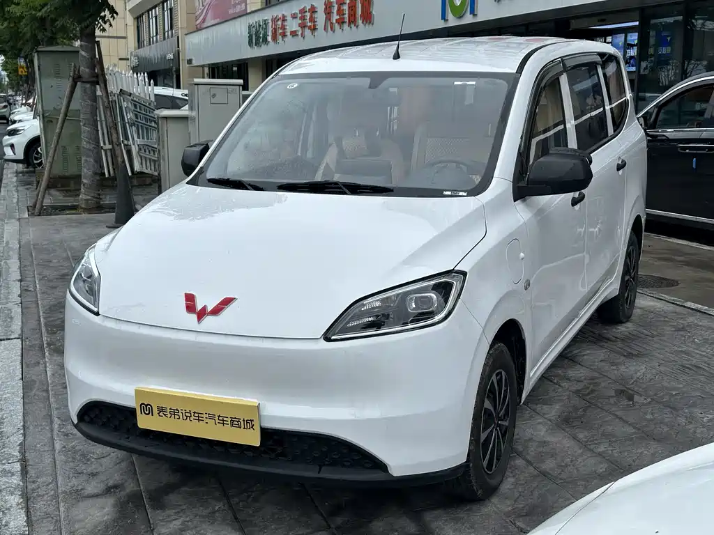 Wuling Hongguang New Energy 2024