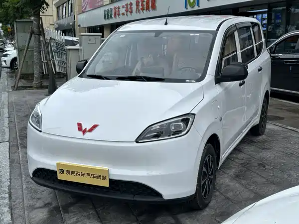 Wuling Hongguang New Energy 2024