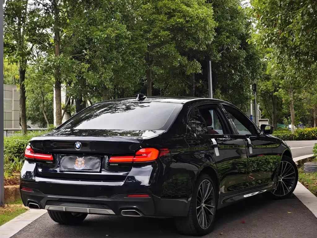 BMW 5 Series 2021