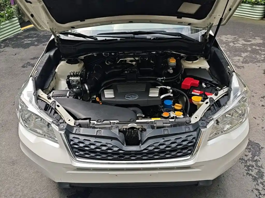 Subaru Forester 2015 — фото 20