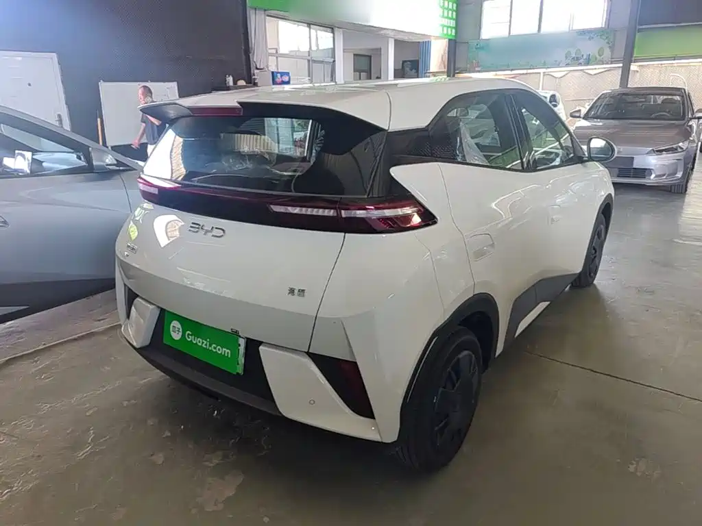 BYD Seagull 2026