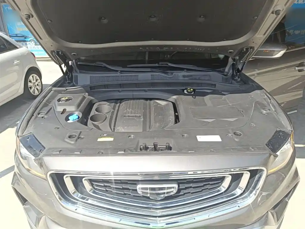 Geely Boyue 2020 — фото 20