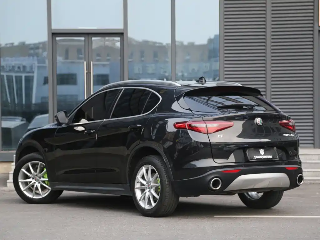Alfa Romeo Stelvio 2019 — фото 10