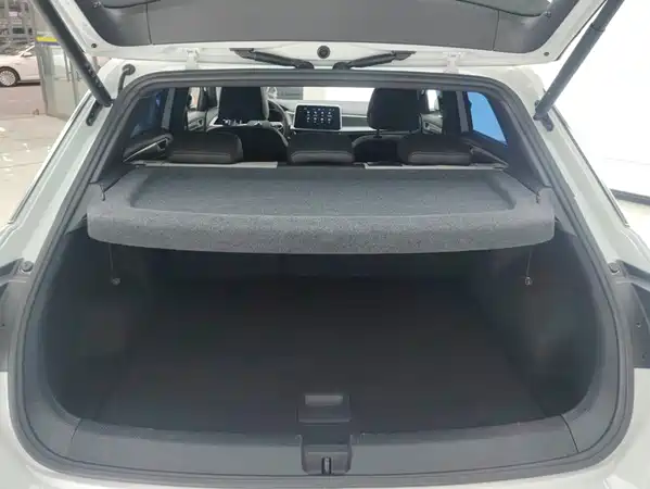 Volkswagen T-Roc 2024