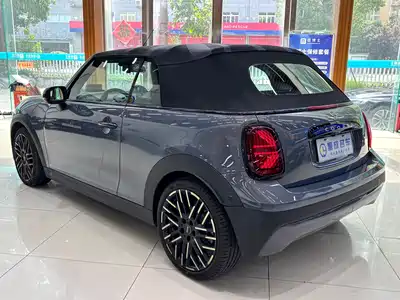 MINI MINI 2025