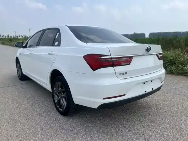 BYD Qin NEV 2020