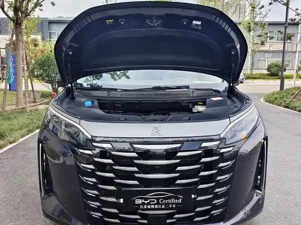 BYD Summer 2025