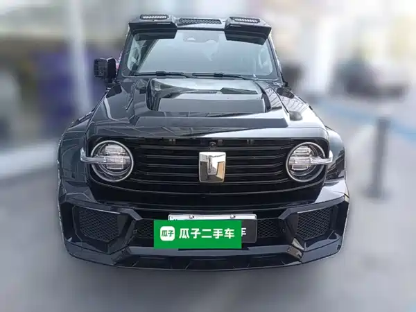 Tank 300 New Energy 2025