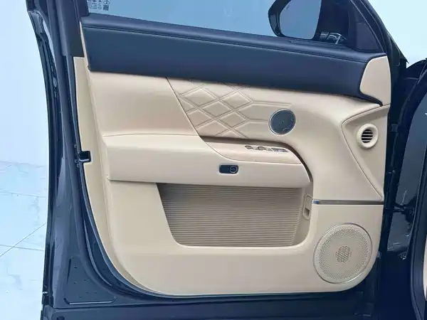 Chery Fengyun T11 2025