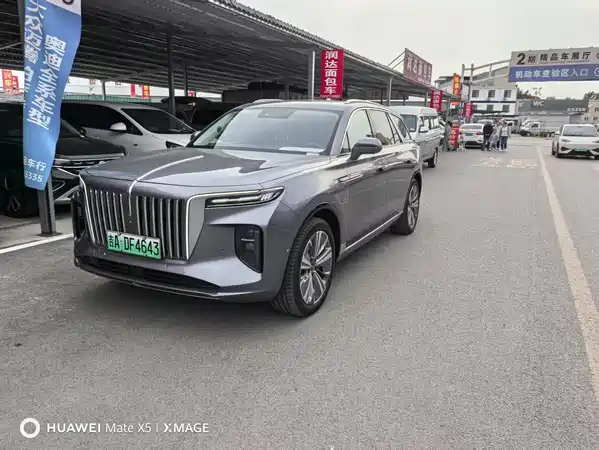 Hongqi E-HS9 2023