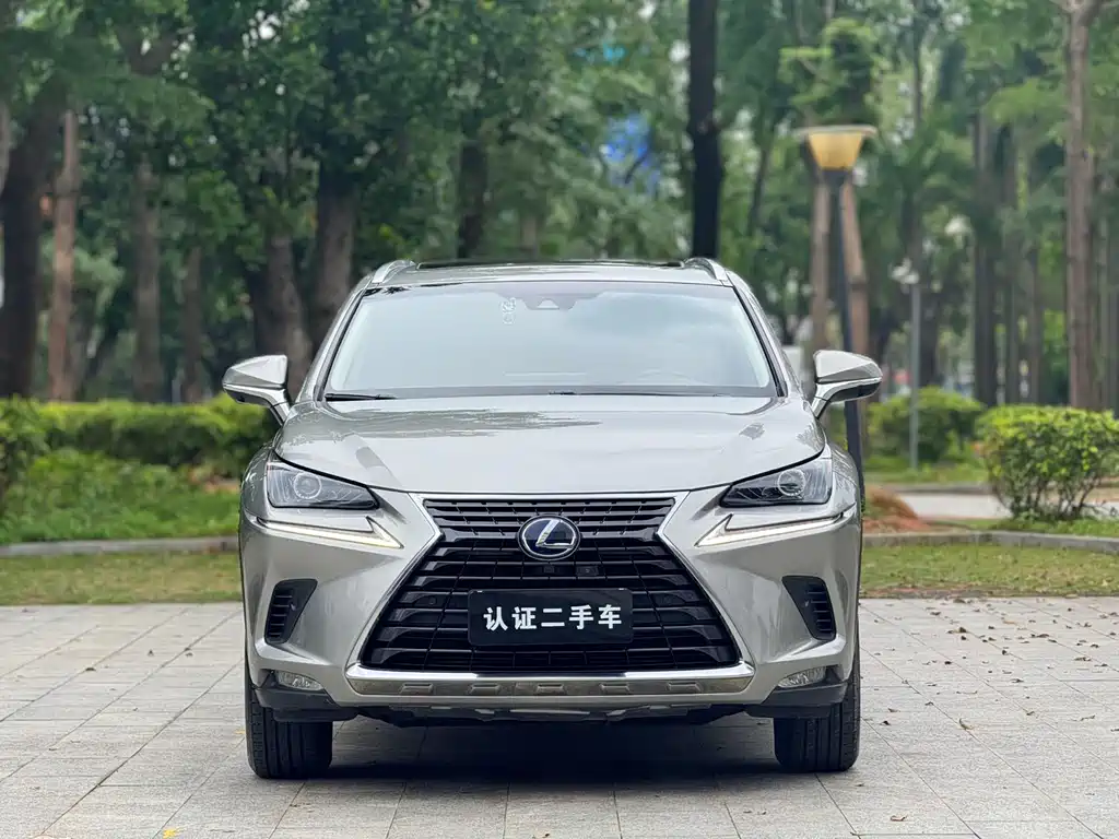 Lexus NX 2018 — фото 2