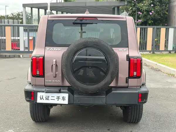 Tank 300 2022