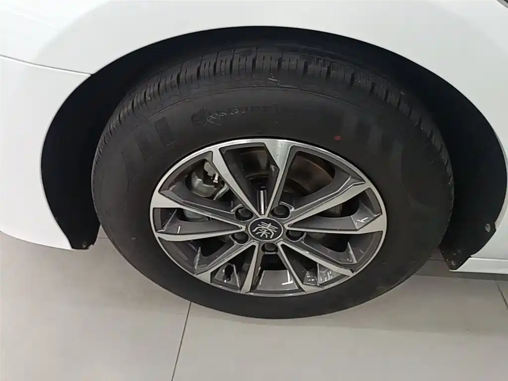 BYD Qin PLUS 2024 — фото 23
