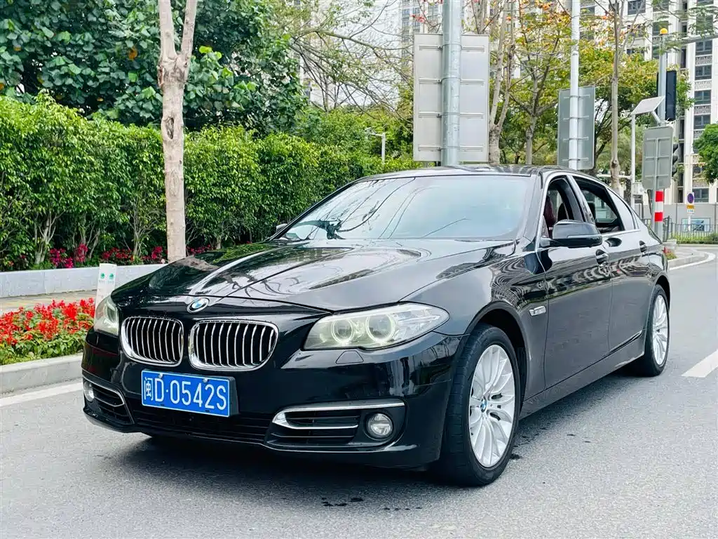 BMW 5 Series 2014 — фото 1